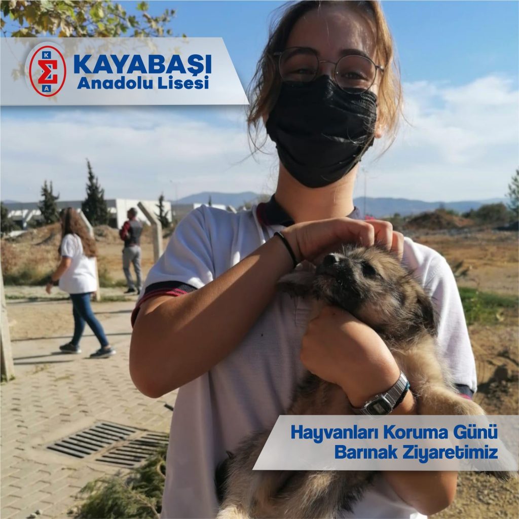 Hayvanları Koruma Günü